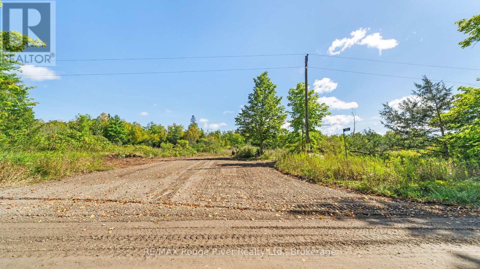 1321 Crowe River Road N, Trent Hills, Ontario  K0L 1L0 - Photo 5 - X13796288