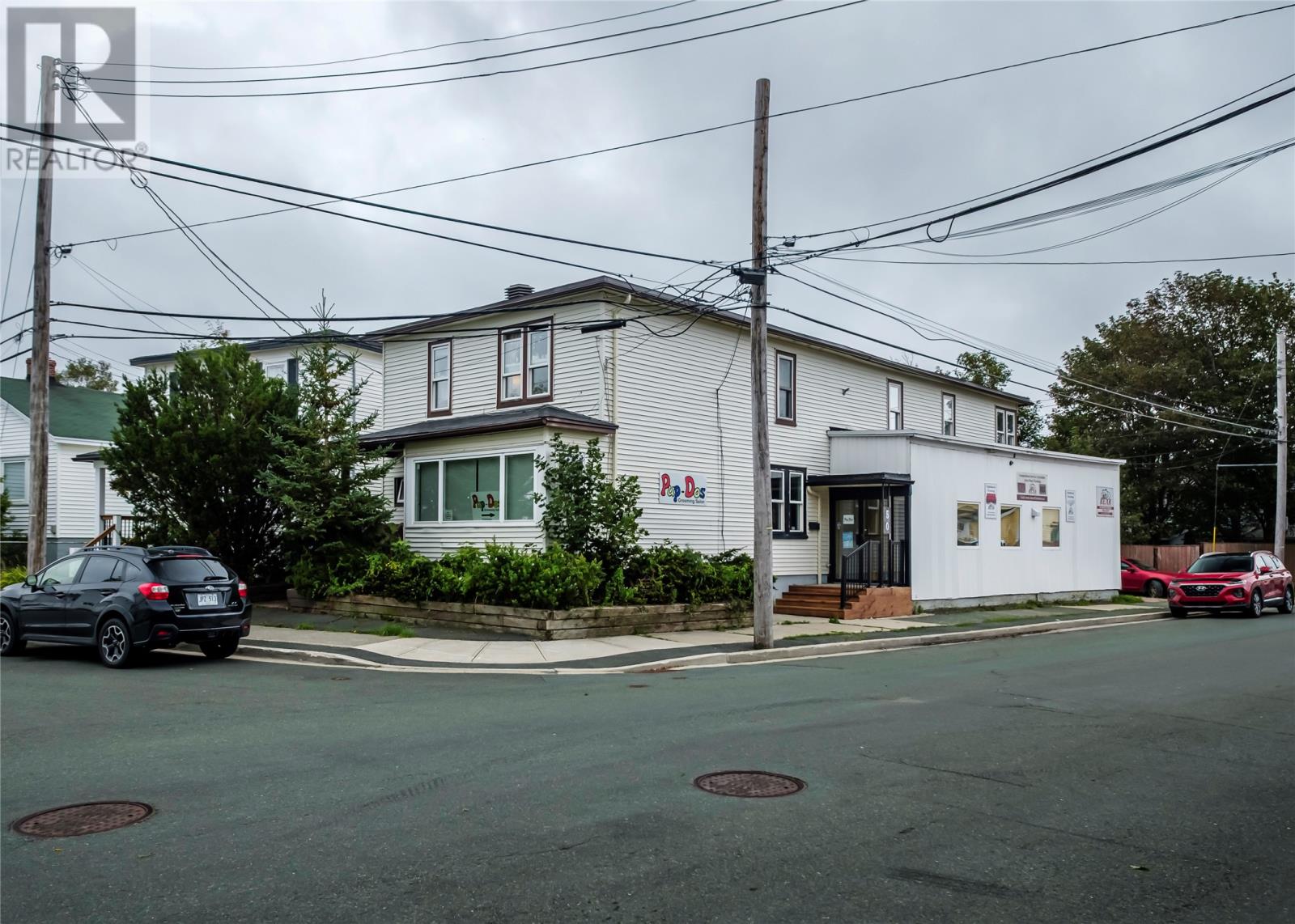 29 Howley Ave Extension, St. John's