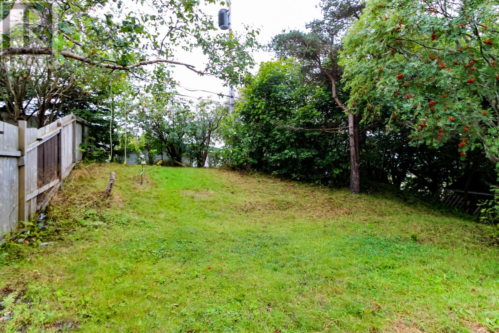 40 Diana Road, St. John's — photo 36
