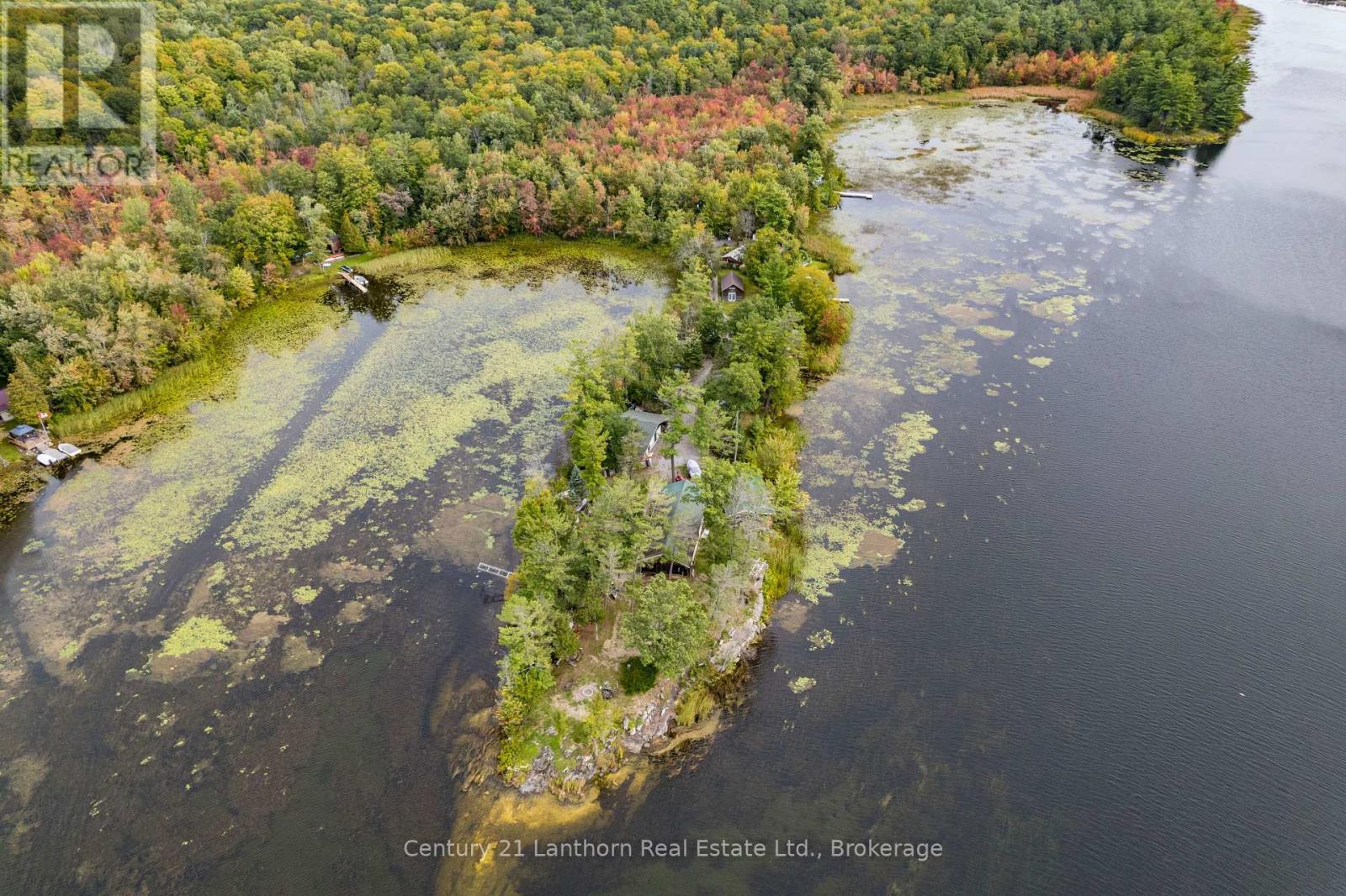 175 Donaldson Lane, Centre Hastings, Ontario  K0K 2K0 - Photo 10 - X13796816