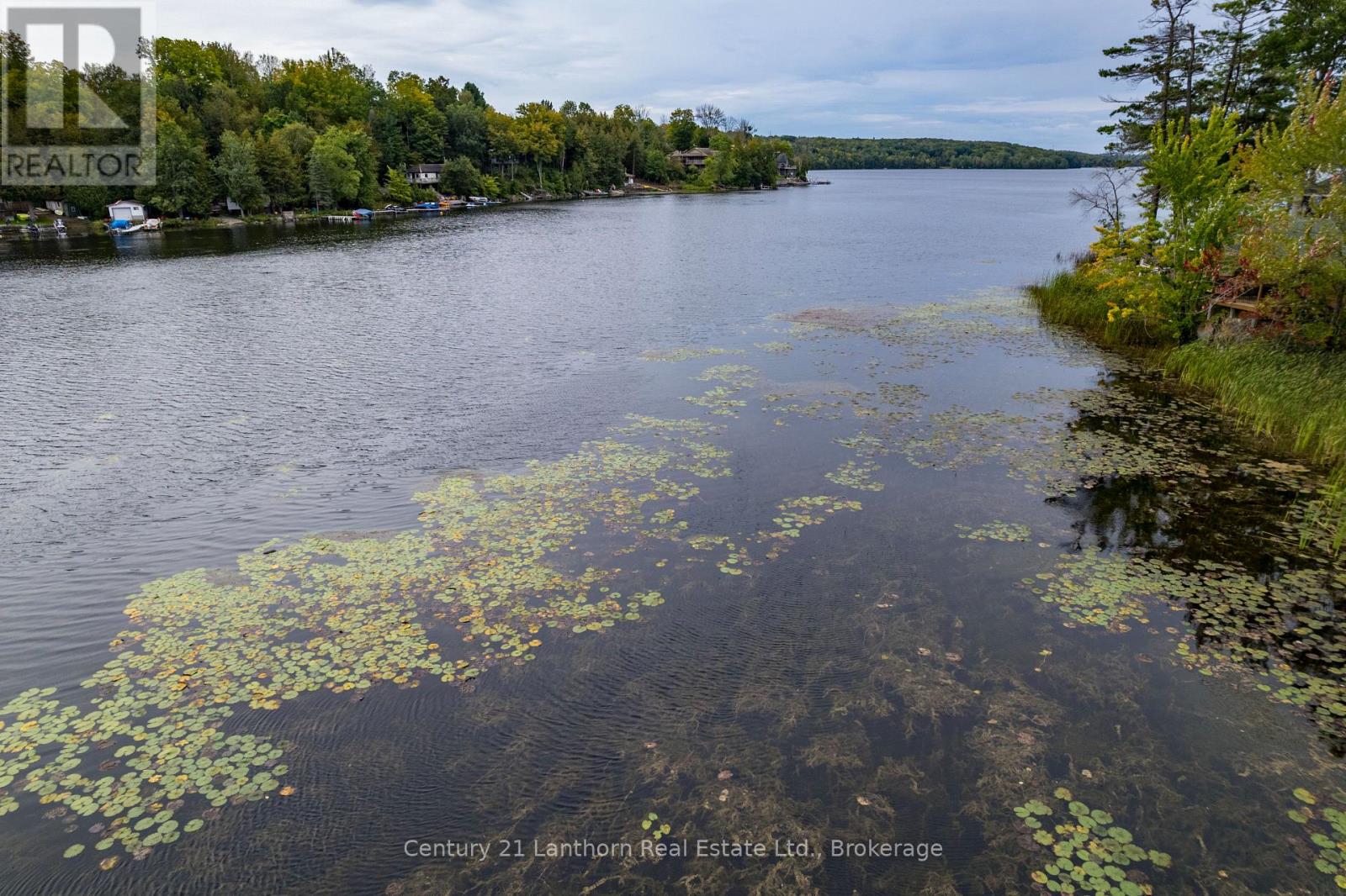 175 Donaldson Lane, Centre Hastings, Ontario  K0K 2K0 - Photo 8 - X13796816