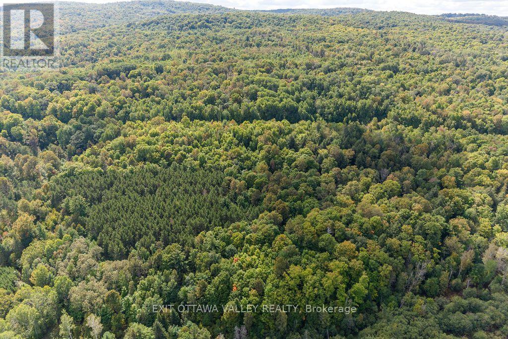 00 Opeongo Road, Bonnechere Valley, Ontario  K0J 1T0 - Photo 11 - X13796820