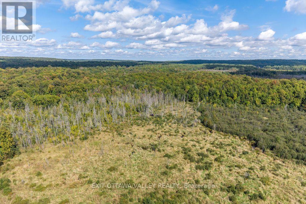 00 Opeongo Road, Bonnechere Valley, Ontario  K0J 1T0 - Photo 12 - X13796820