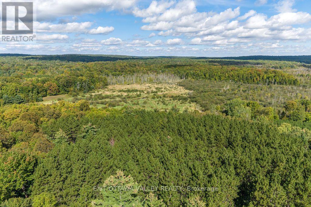 00 Opeongo Road, Bonnechere Valley, Ontario  K0J 1T0 - Photo 22 - X13796820