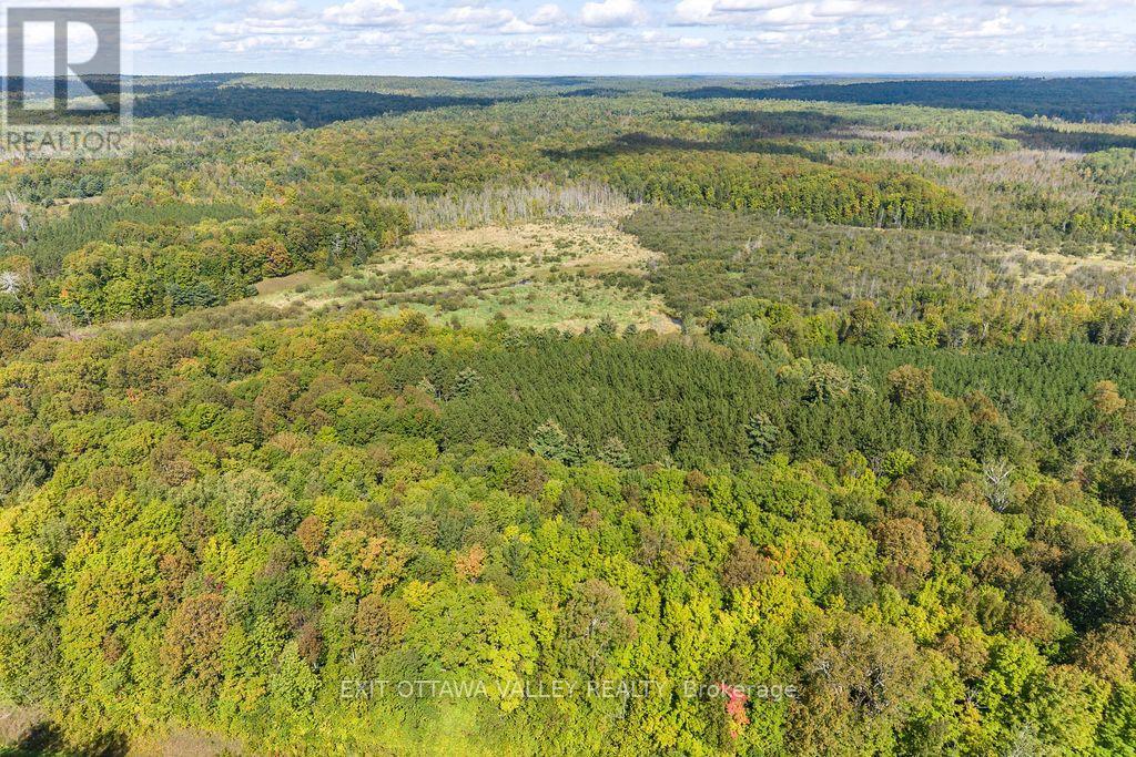 00 Opeongo Road, Bonnechere Valley, Ontario  K0J 1T0 - Photo 23 - X13796820