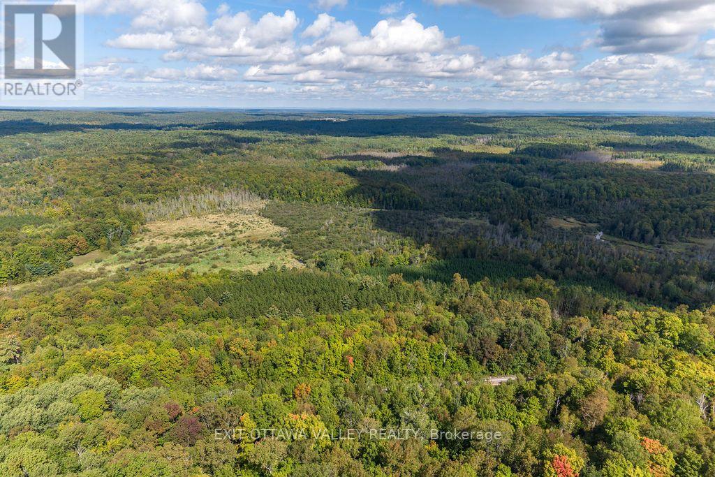 00 Opeongo Road, Bonnechere Valley, Ontario  K0J 1T0 - Photo 26 - X13796820