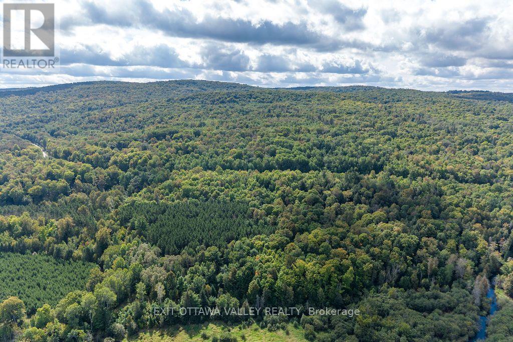 00 Opeongo Road, Bonnechere Valley, Ontario  K0J 1T0 - Photo 3 - X13796820