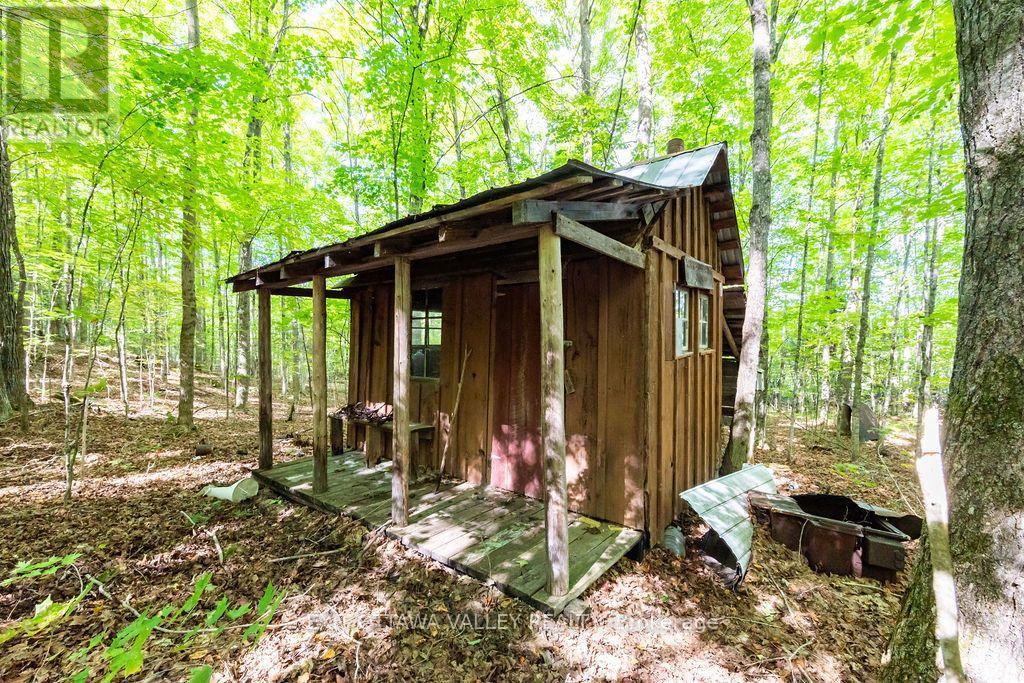 00 Opeongo Road, Bonnechere Valley, Ontario  K0J 1T0 - Photo 31 - X13796820