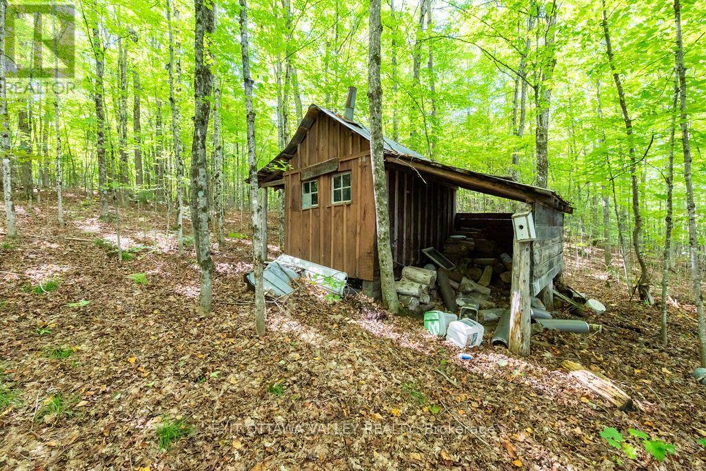 00 Opeongo Road, Bonnechere Valley, Ontario  K0J 1T0 - Photo 32 - X13796820