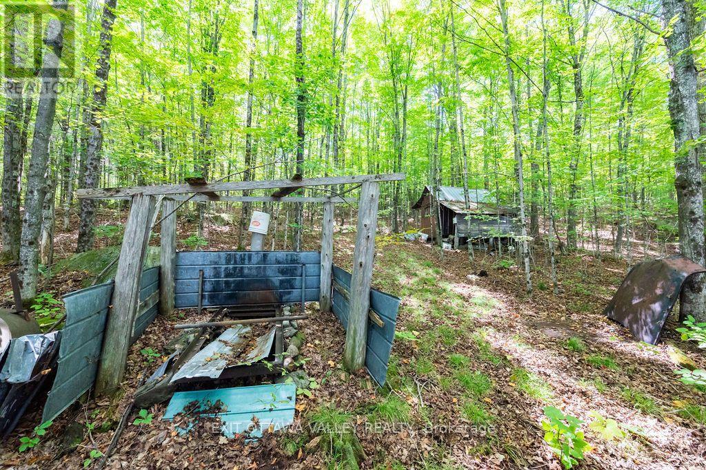 00 Opeongo Road, Bonnechere Valley, Ontario  K0J 1T0 - Photo 33 - X13796820