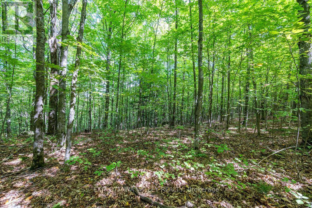 00 Opeongo Road, Bonnechere Valley, Ontario  K0J 1T0 - Photo 34 - X13796820