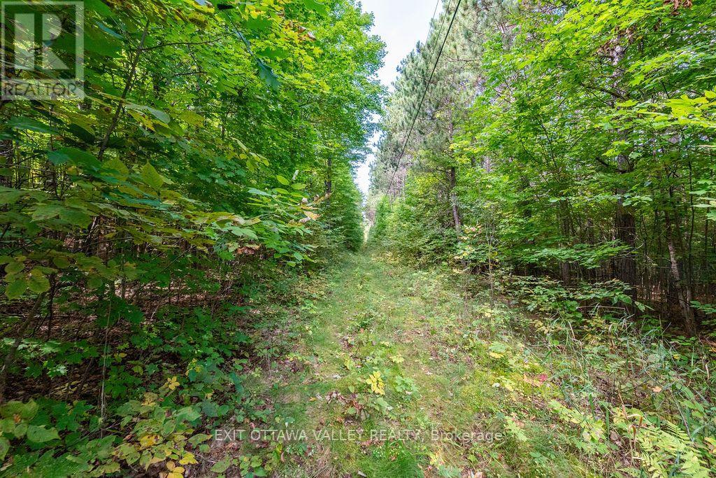 00 Opeongo Road, Bonnechere Valley, Ontario  K0J 1T0 - Photo 35 - X13796820