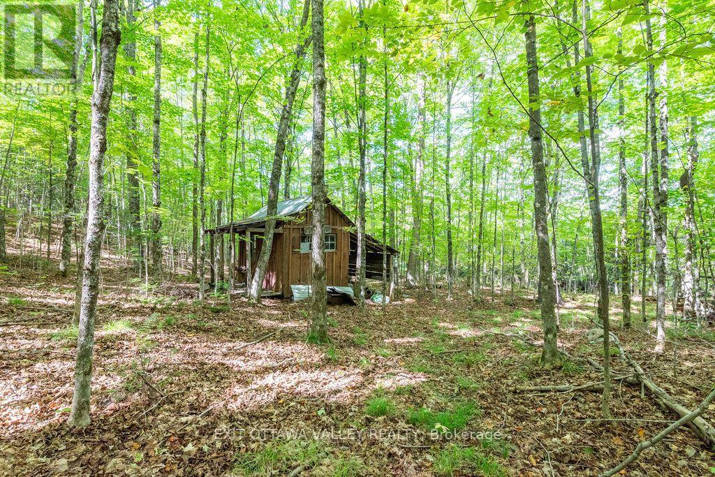 00 Opeongo Road, Bonnechere Valley, Ontario  K0J 1T0 - Photo 36 - X13796820