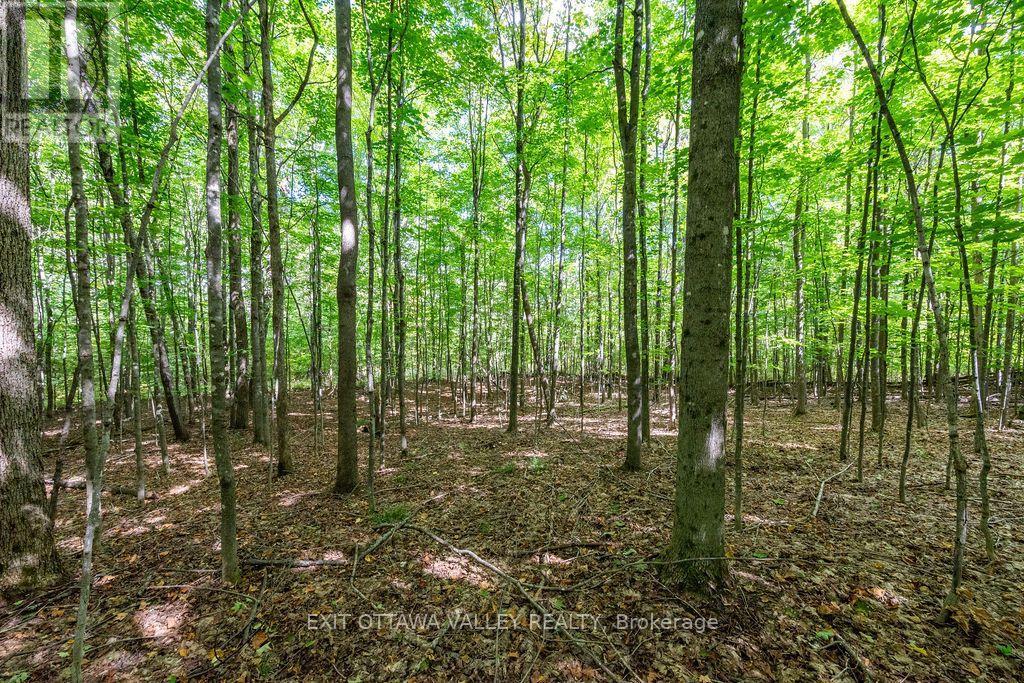 00 Opeongo Road, Bonnechere Valley, Ontario  K0J 1T0 - Photo 37 - X13796820