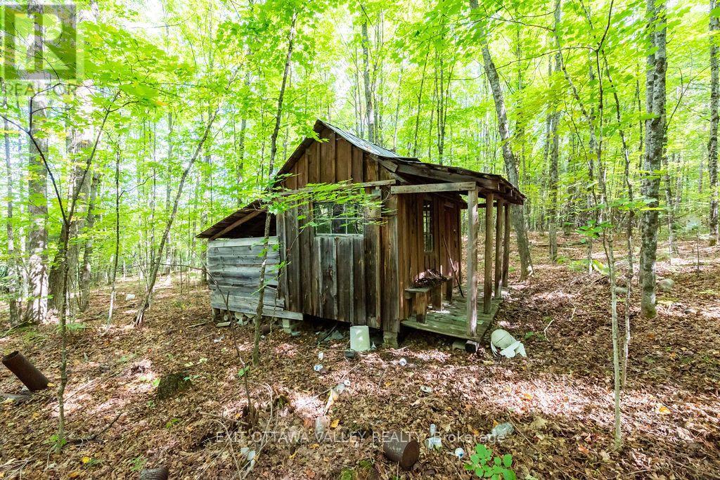 00 Opeongo Road, Bonnechere Valley, Ontario  K0J 1T0 - Photo 38 - X13796820