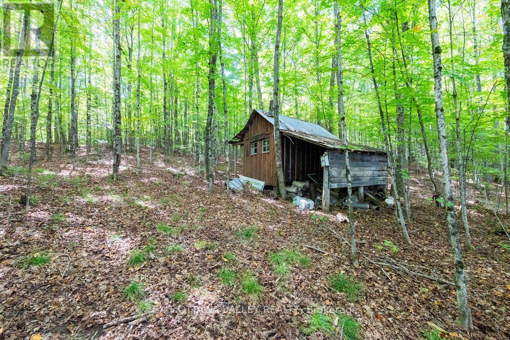 00 Opeongo Road, Bonnechere Valley, Ontario  K0J 1T0 - Photo 39 - X13796820