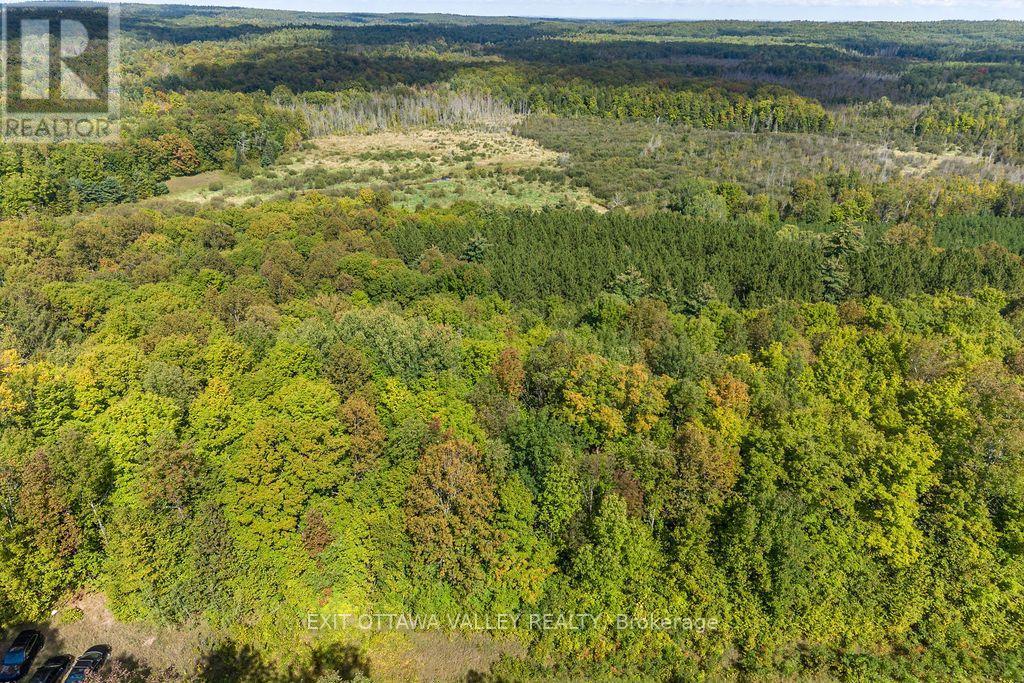 00 Opeongo Road, Bonnechere Valley, Ontario  K0J 1T0 - Photo 6 - X13796820