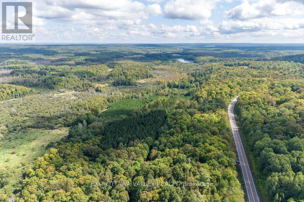 00 Opeongo Road, Bonnechere Valley, Ontario  K0J 1T0 - Photo 9 - X13796820