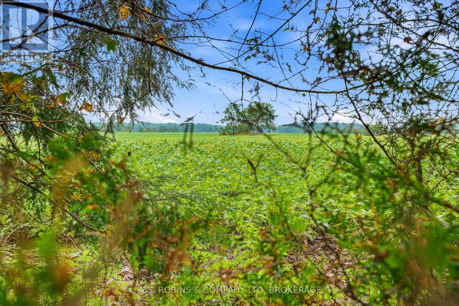 12040 Lakeshore Road, Wainfleet, Ontario  L0S 1V0 - Photo 21 - X13792234