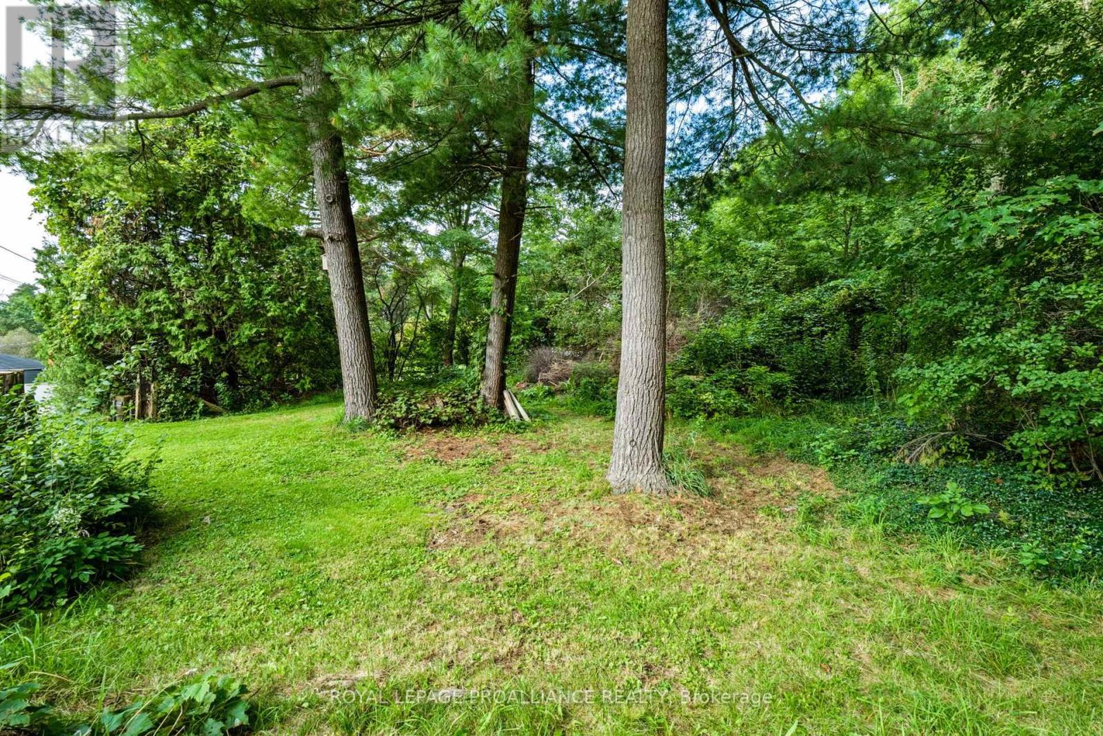 00 Jowsey Mclean Road, Elizabethtown-Kitley, Ontario  K6V 7B9 - Photo 15 - X13797138