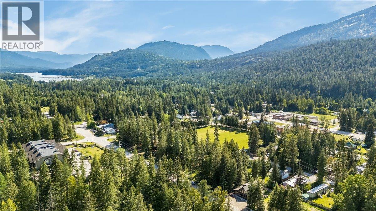809 Slocan Street, Slocan, British Columbia V0G 2C0 - Photo 12 - 10389528