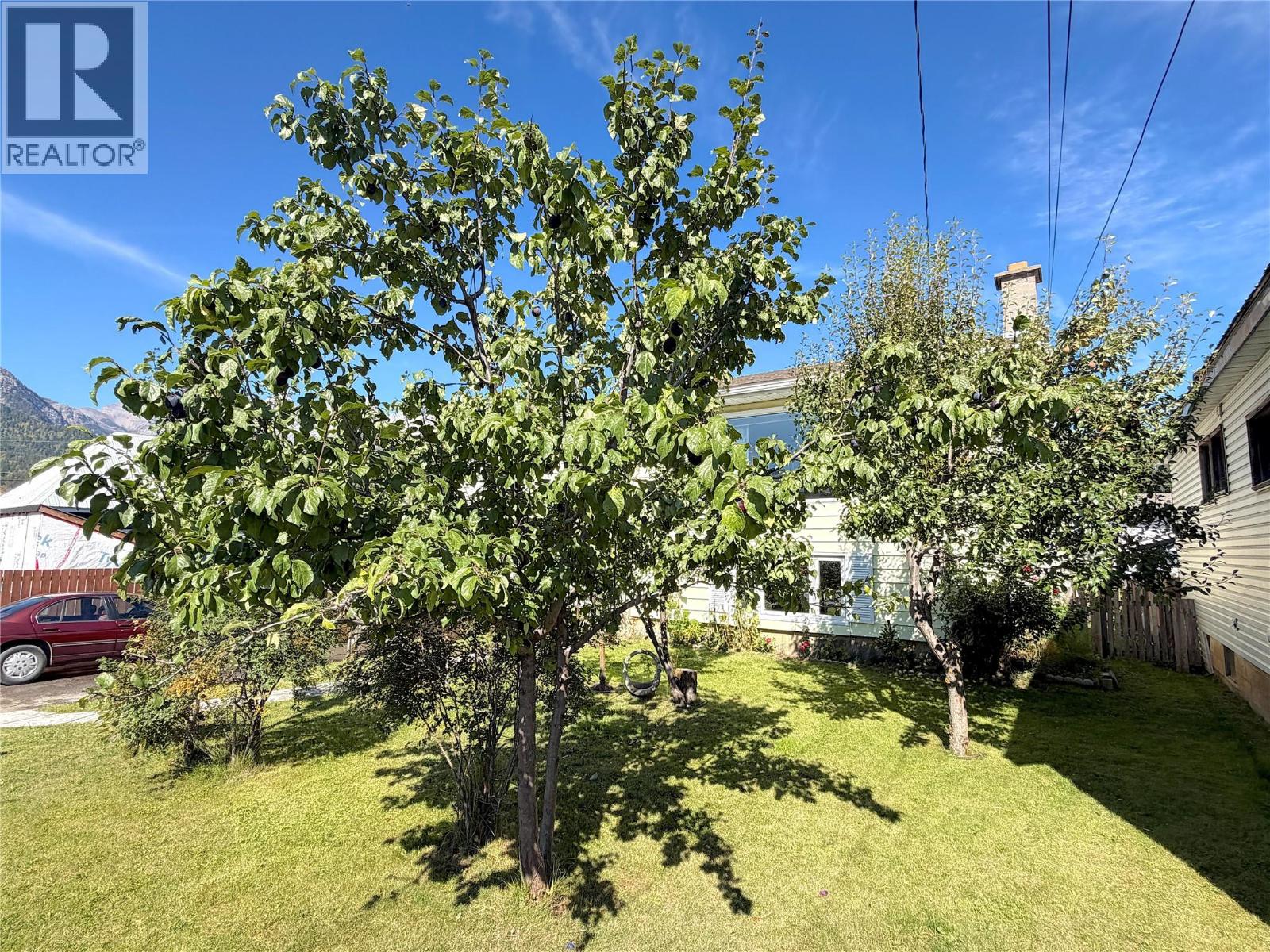 166 14th Street, Fernie, British Columbia V0B 1M0 - Photo 54 - 10400720