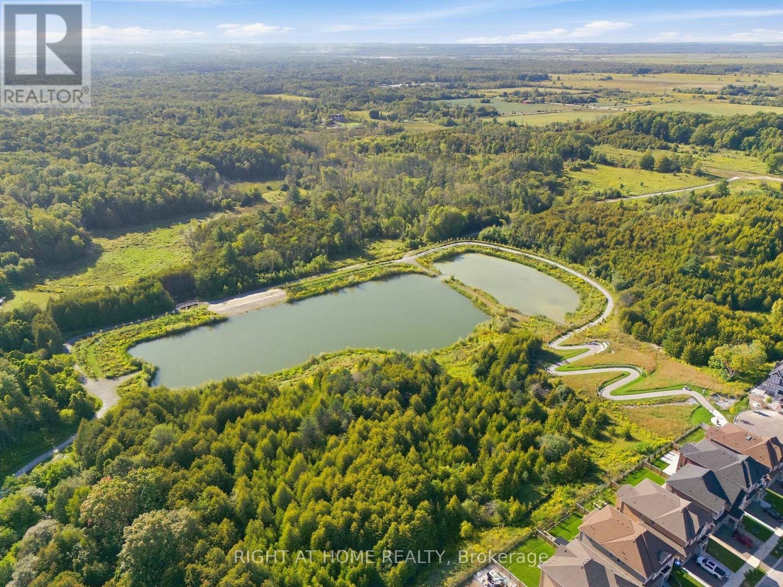 70 Balsdon Hollow, East Gwillimbury, Ontario  L9N 0Y1 - Photo 50 - N13797654