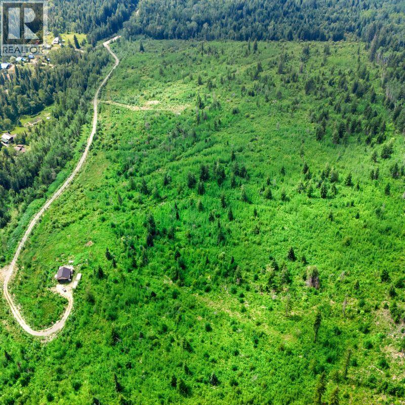 Lot 2 Barber Road, Clearwater, British Columbia  V0E 1N1 - Photo 12 - 10394722