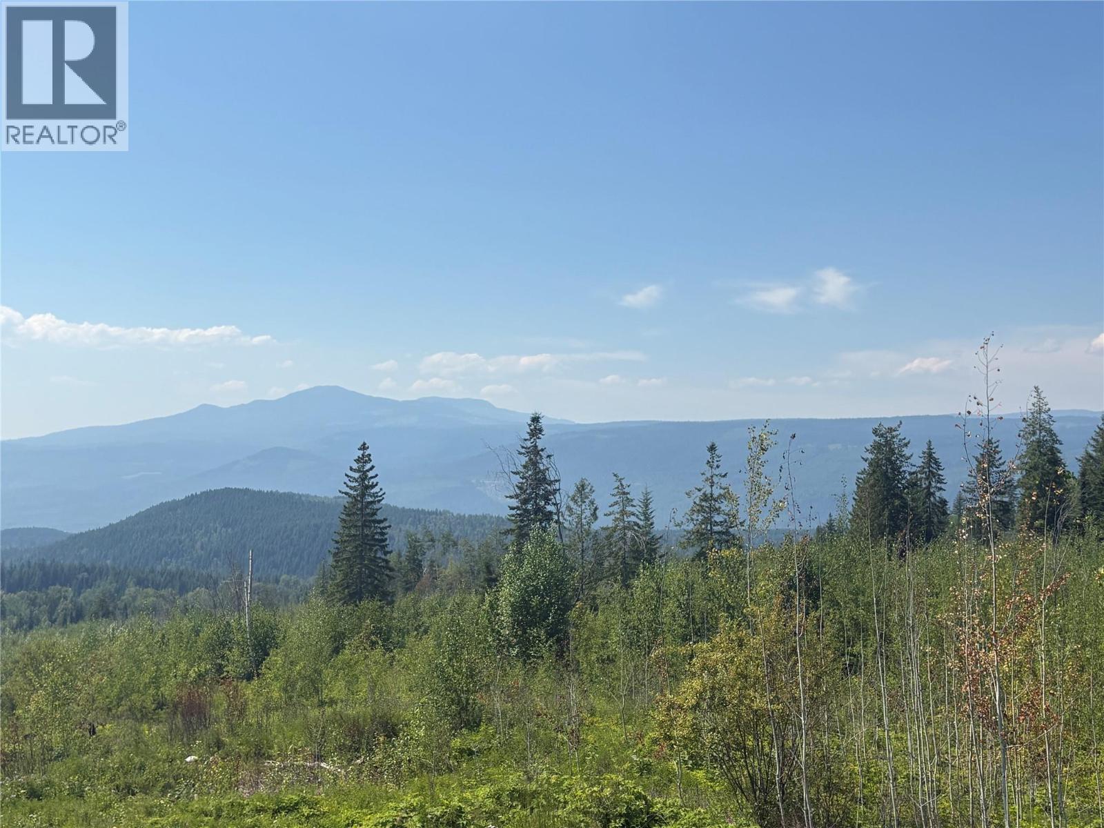 Lot 2 Barber Road, Clearwater, British Columbia  V0E 1N1 - Photo 17 - 10394722