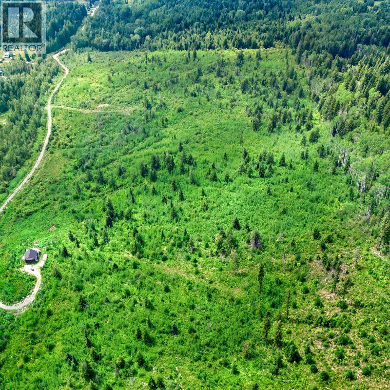 Lot 2 Barber Road, Clearwater, British Columbia  V0E 1N1 - Photo 10 - 10394722