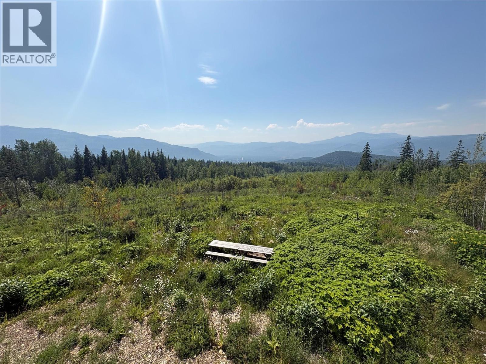 Lot 2 Barber Road, Clearwater, British Columbia  V0E 1N1 - Photo 18 - 10394722