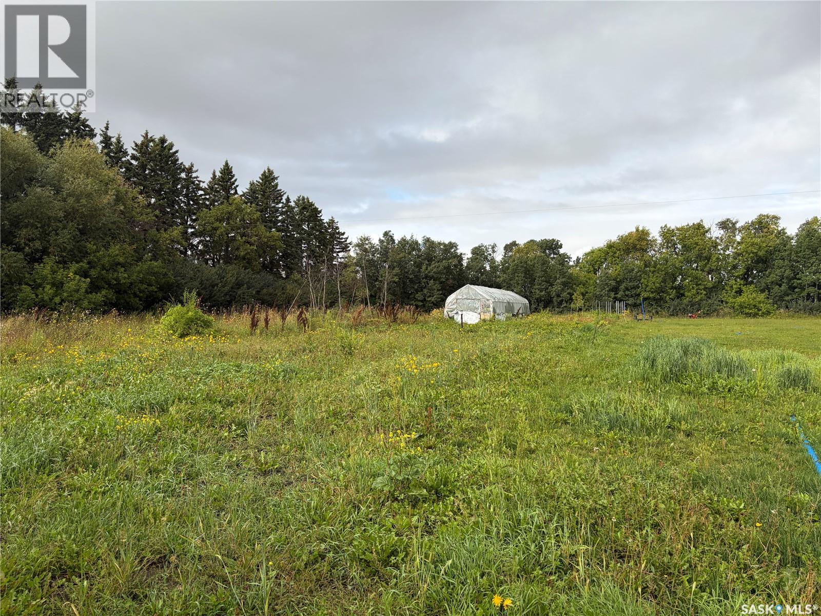 Margo Acreage, Sasman Rm No. 336, Saskatchewan  S0A 1A0 - Photo 37 - SK048751