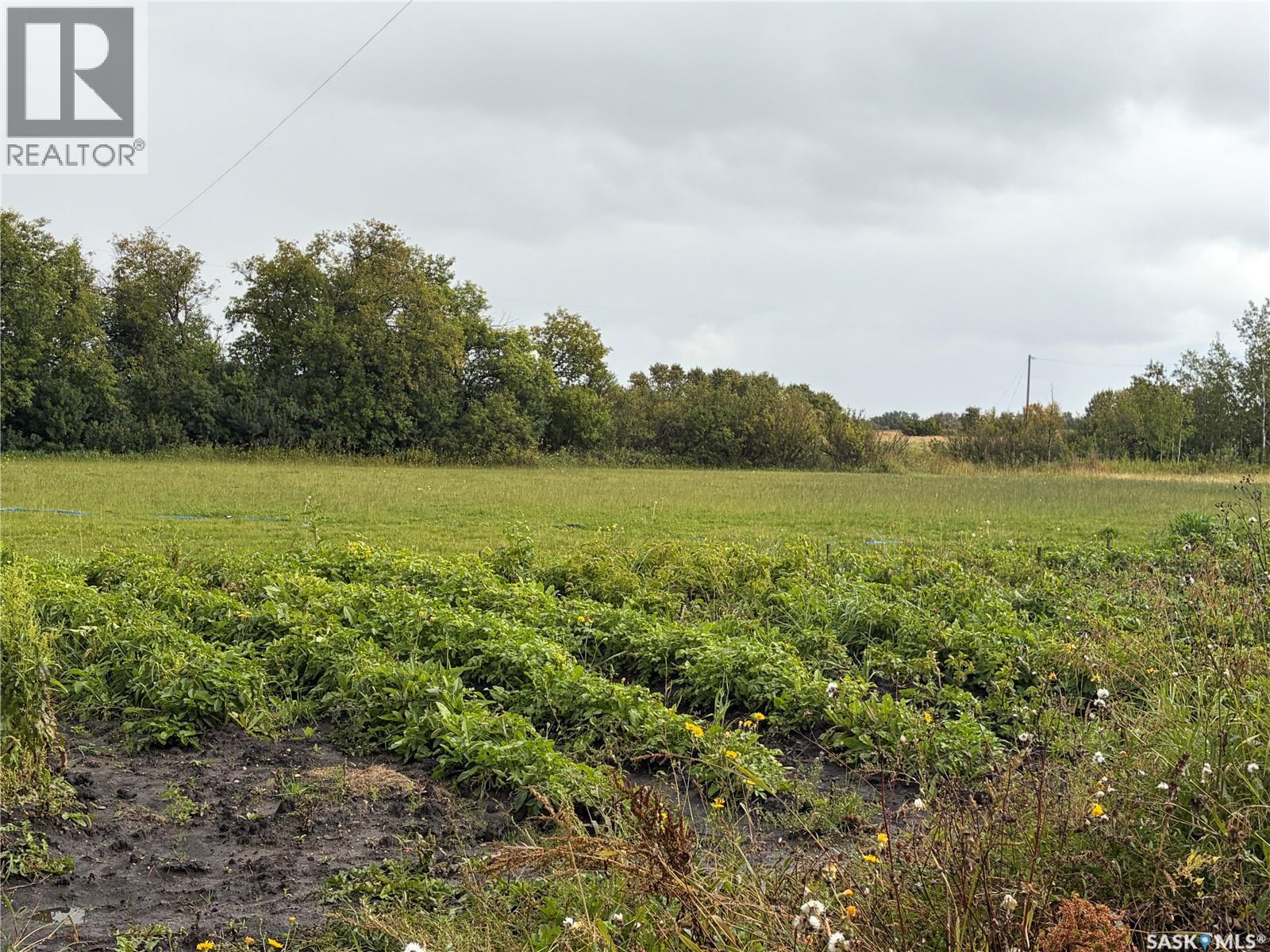 Margo Acreage, Sasman Rm No. 336, Saskatchewan  S0A 1A0 - Photo 40 - SK048751