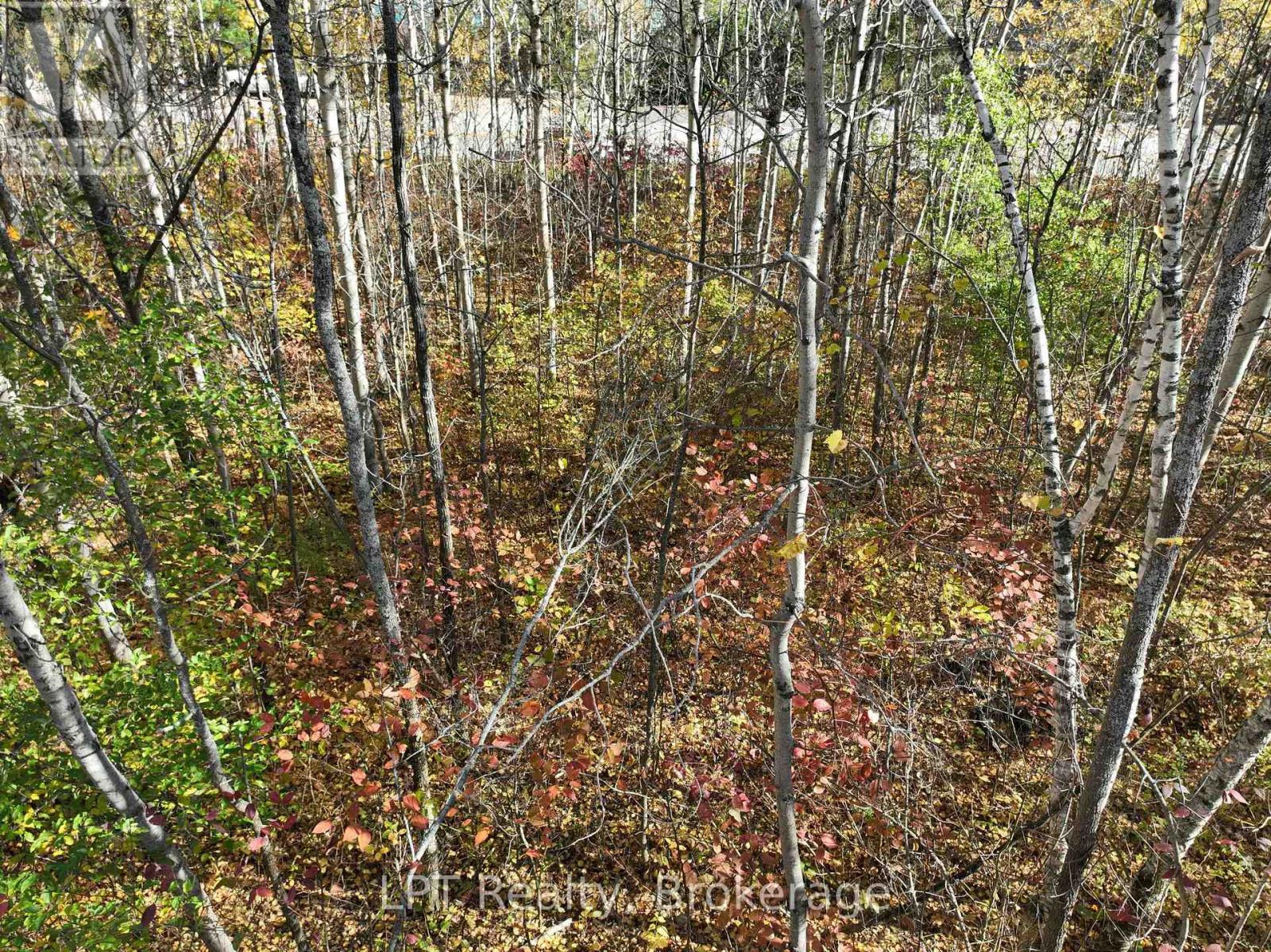 Lt 15 Plan 834 Grey Road 1, Georgian Bluffs, Ontario  N0H 1S0 - Photo 18 - X13798156