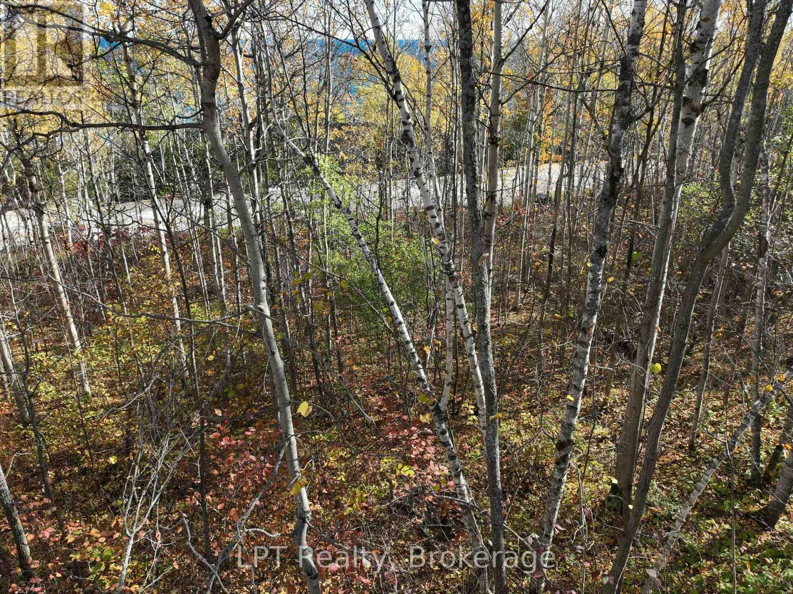 Lt 15 Plan 834 Grey Road 1, Georgian Bluffs, Ontario  N0H 1S0 - Photo 19 - X13798156