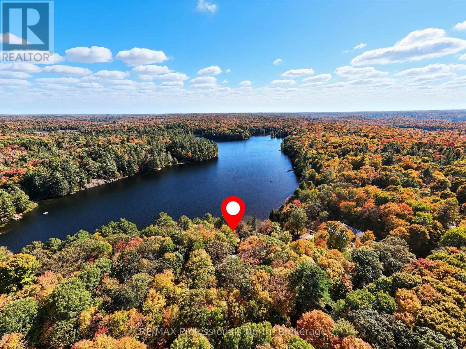 293 Otter Lake Road, Huntsville, Ontario  P1H 2J3 - Photo 3 - X13798242