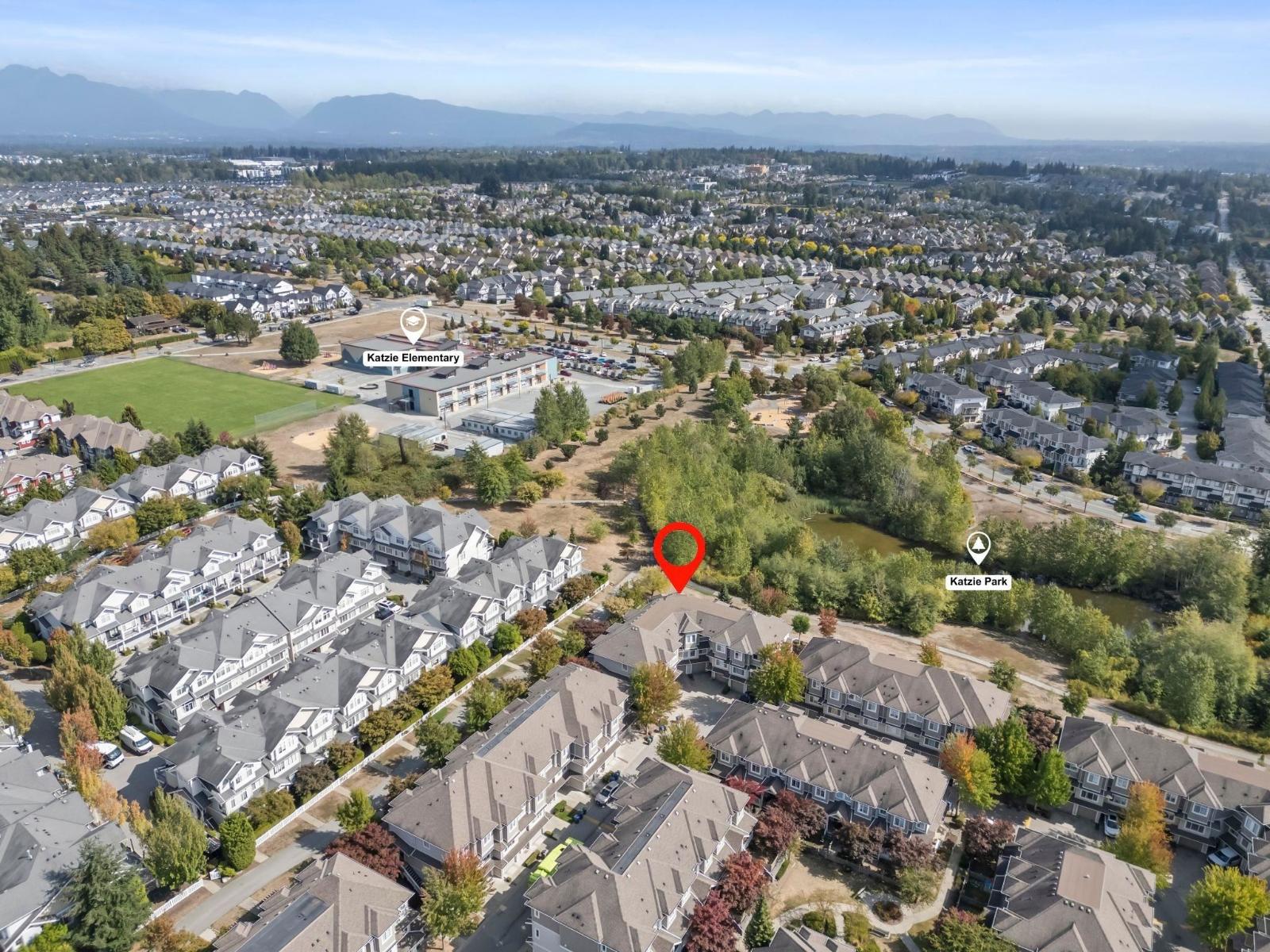 picture 36