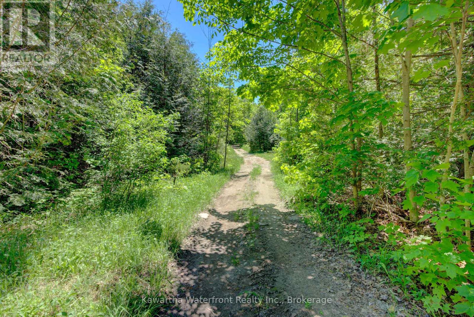 75 Beaver Drive, Kawartha Lakes (Somerville), Ontario  K0M 1K0 - Photo 12 - X13798358
