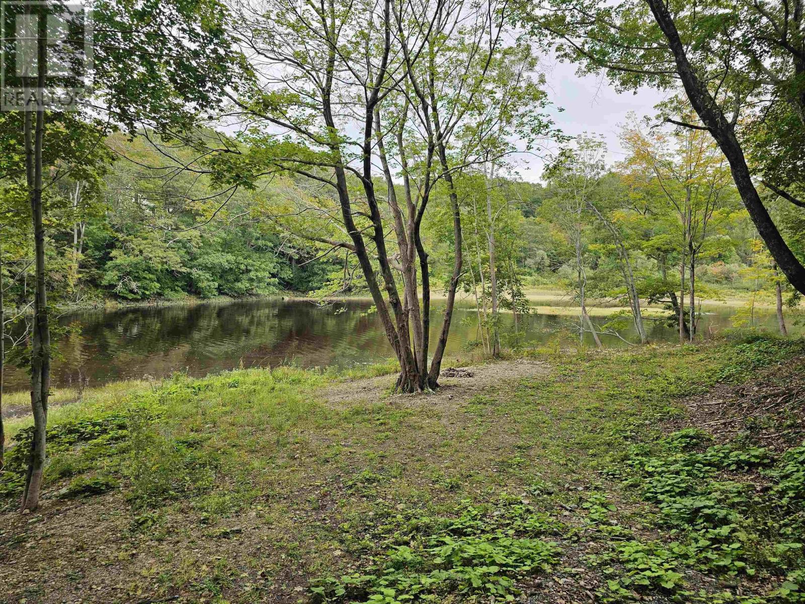 1357 River Road, Bear River, Nova Scotia  B0S 1B0 - Photo 9 - 202623432