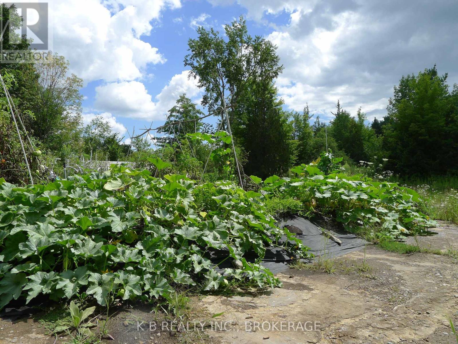 387 Christian Lane, Stone Mills, Ontario  K0K 3N0 - Photo 34 - X13788218