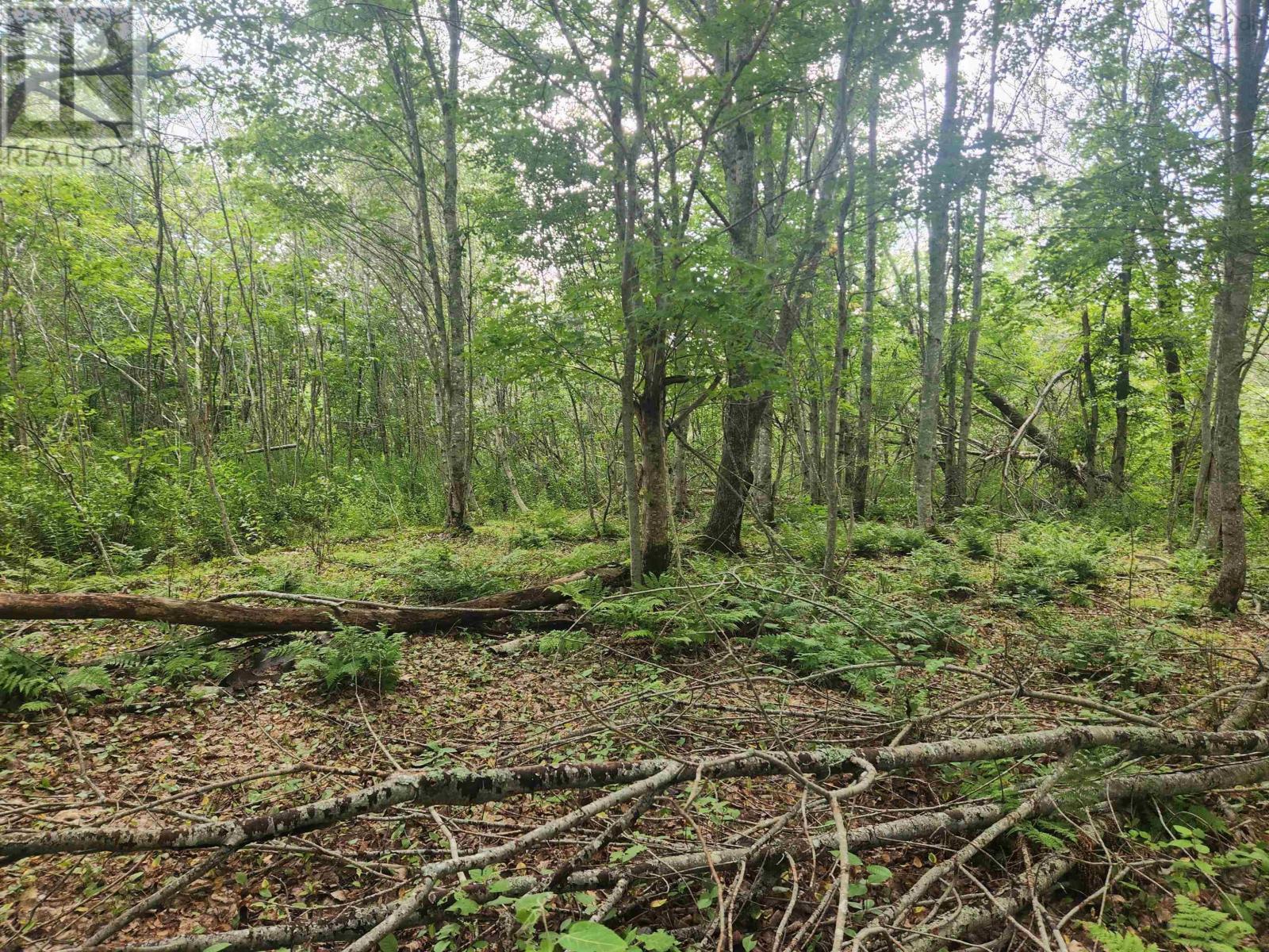 Lot Highway 215, South Maitland, Nova Scotia  B0N 1T0 - Photo 12 - 202609291