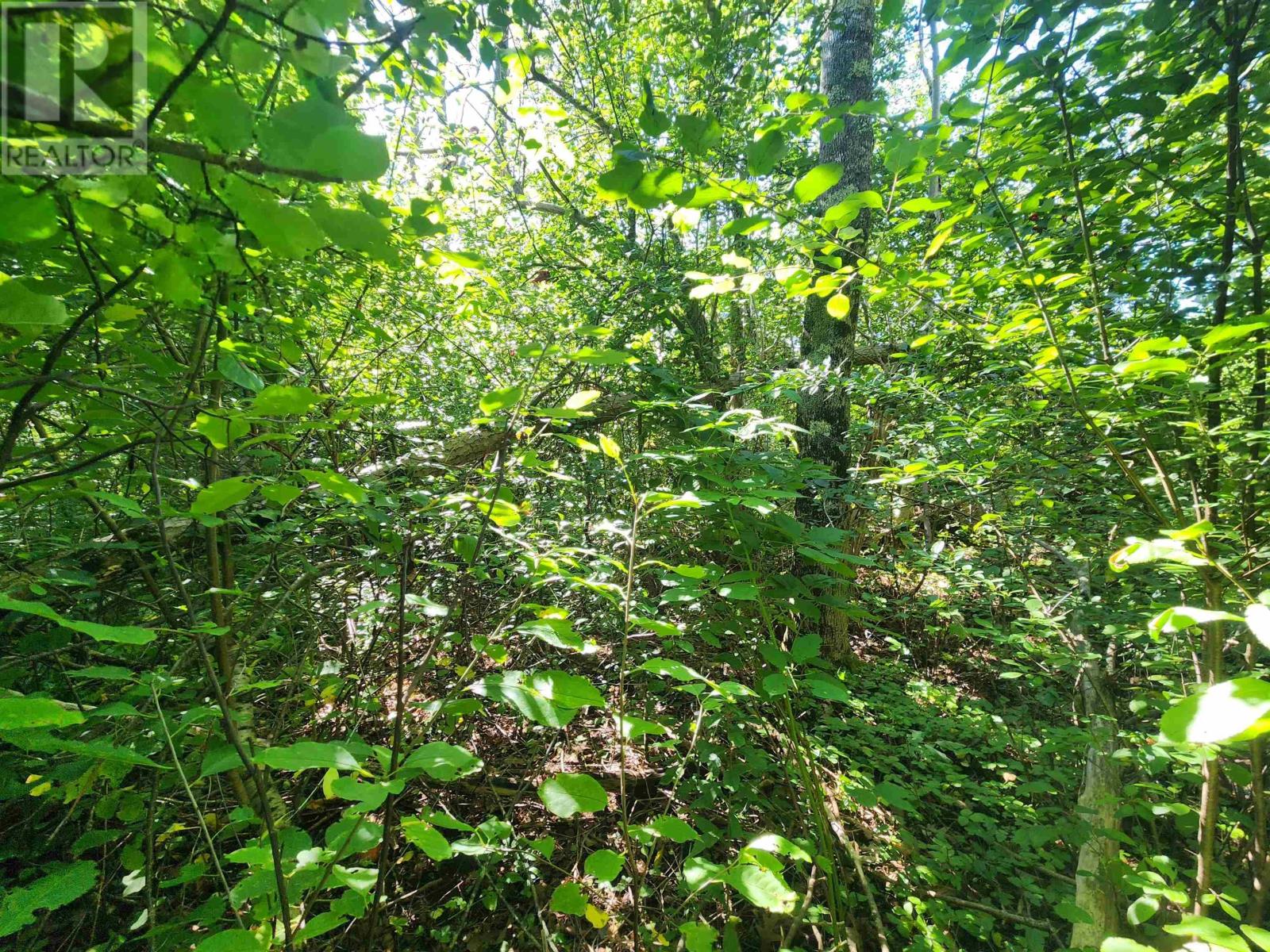 Lot Highway 215, South Maitland, Nova Scotia  B0N 1T0 - Photo 17 - 202609291