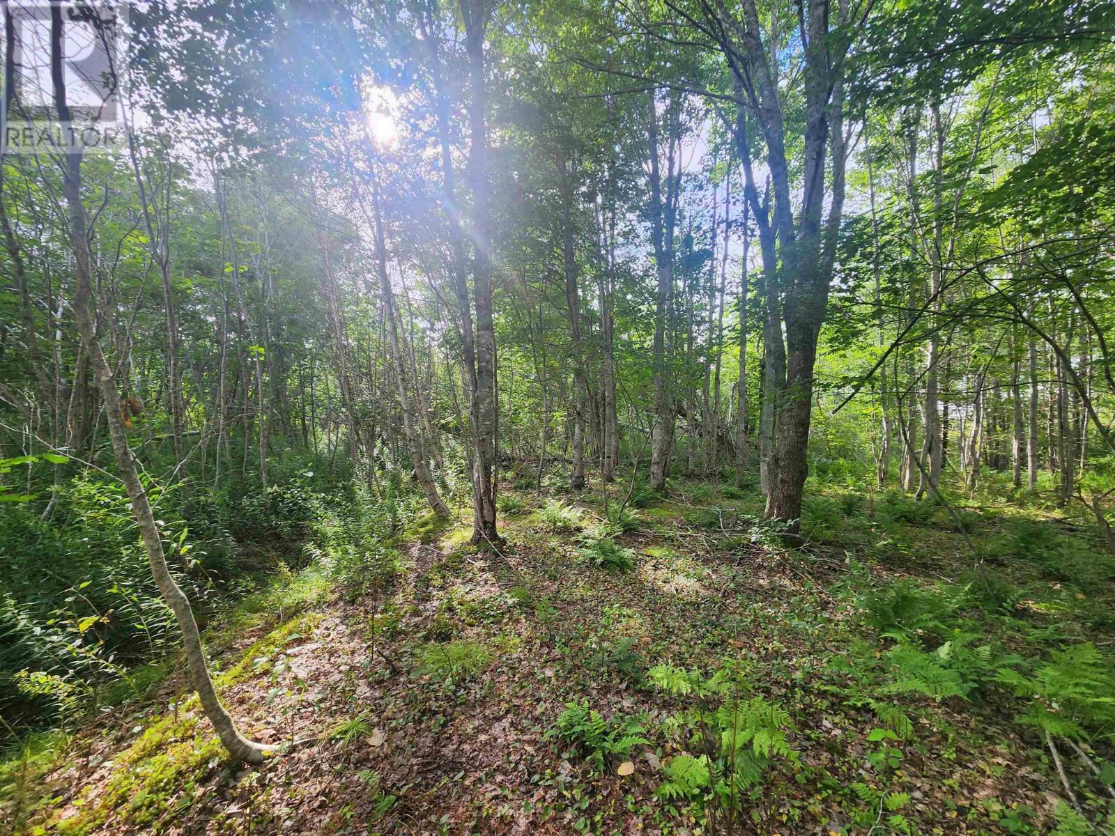 Lot Highway 215, South Maitland, Nova Scotia  B0N 1T0 - Photo 19 - 202609291