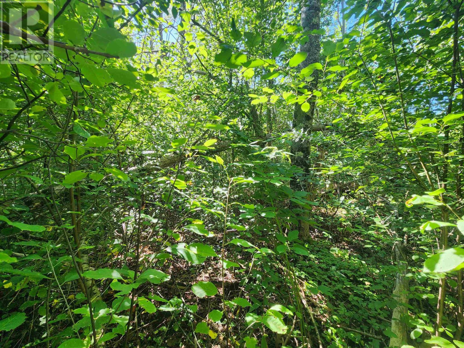 Lot Highway 215, South Maitland, Nova Scotia  B0N 1T0 - Photo 18 - 202609291