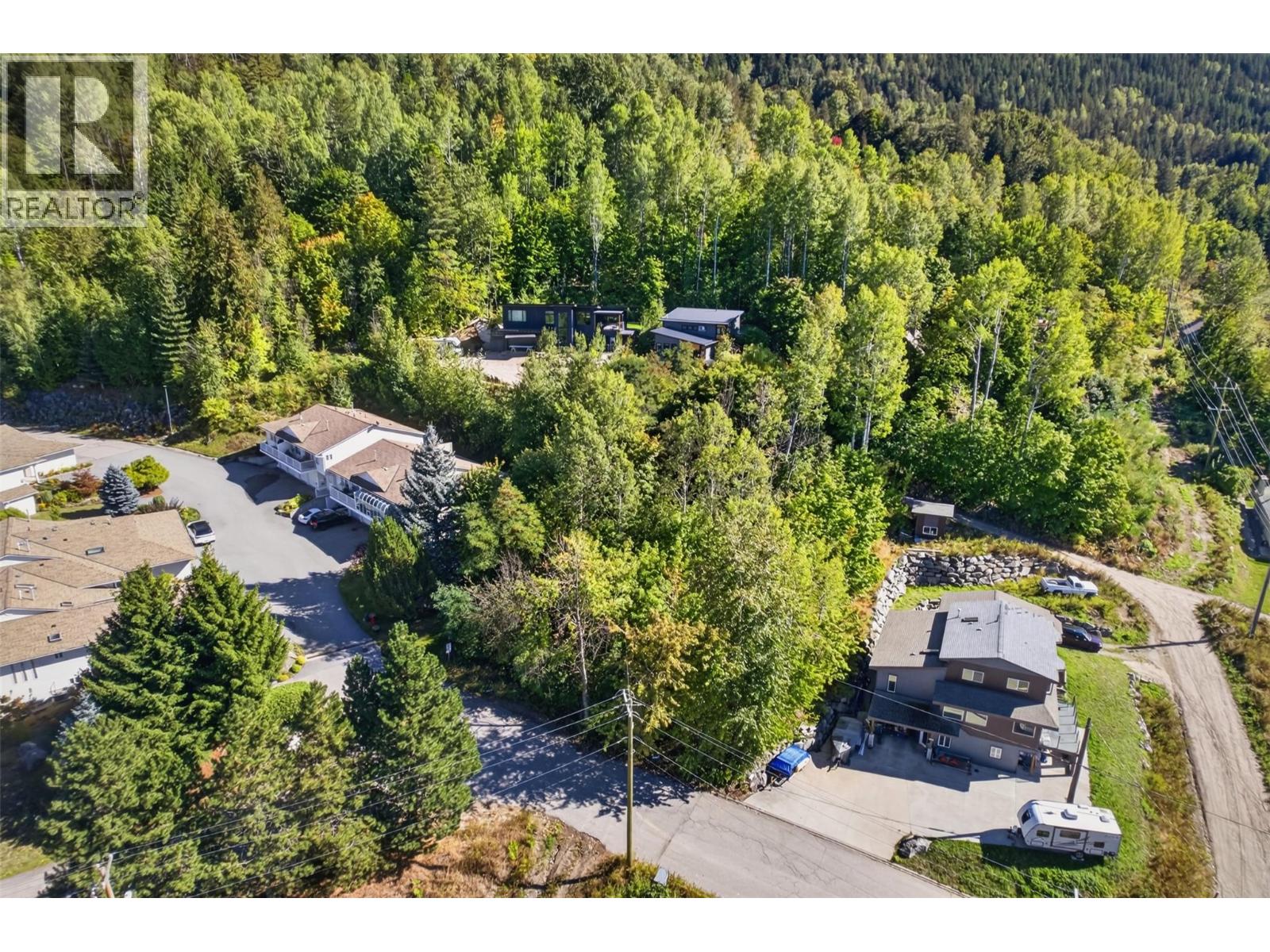 Lot C Mill Street, Nelson, British Columbia V1L 4T2 - Photo 6 - 10345667