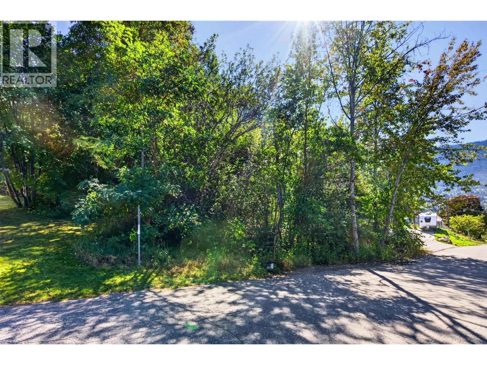 Lot B Mill Street, Nelson, British Columbia V1L 4T4 - Photo 6 - 10375377