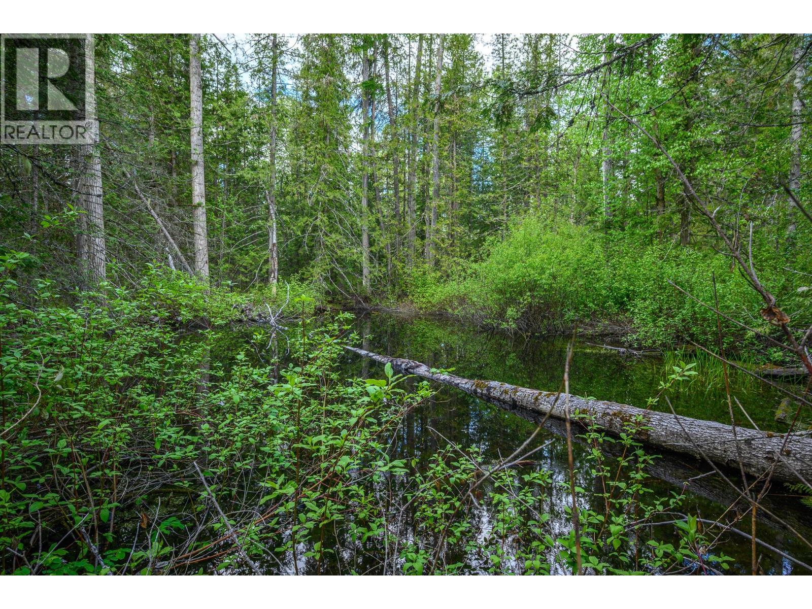 8290 Lincoln Road, Vernon, British Columbia  V1B 3M8 - Photo 5 - 10388369