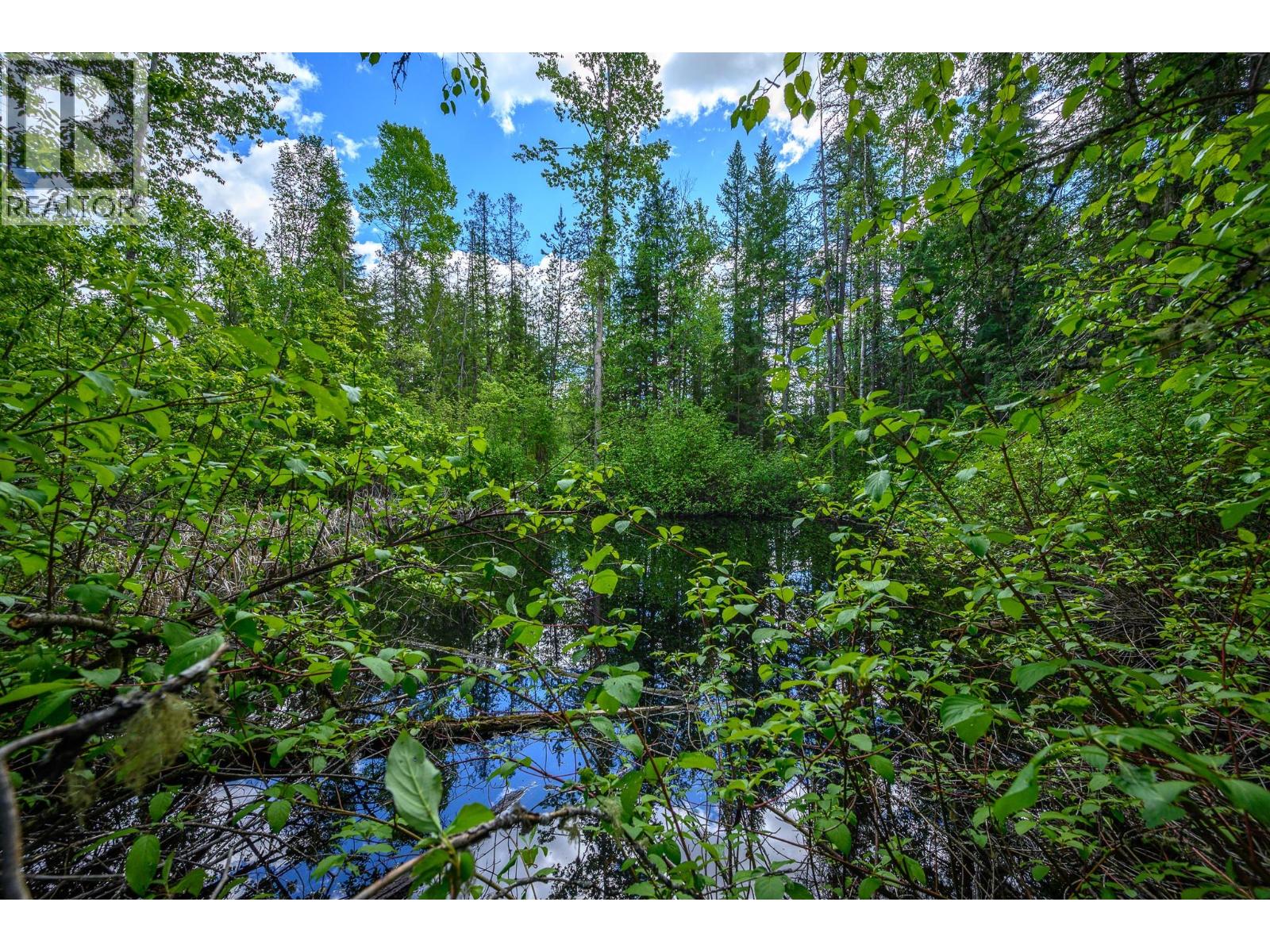 8290 Lincoln Road, Vernon, British Columbia  V1B 3M8 - Photo 4 - 10388369