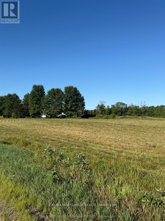 9284 Branch Road, Augusta, Ontario  K0G 1R0 - Photo 6 - X13798720