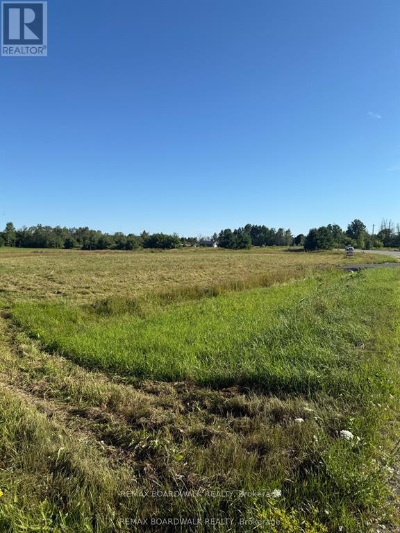 9284 Branch Road, Augusta, Ontario  K0G 1R0 - Photo 8 - X13798720